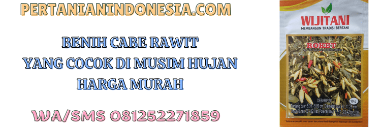 benih,cabe,cabe rawit,petani,wijitani,pertanian indonesia